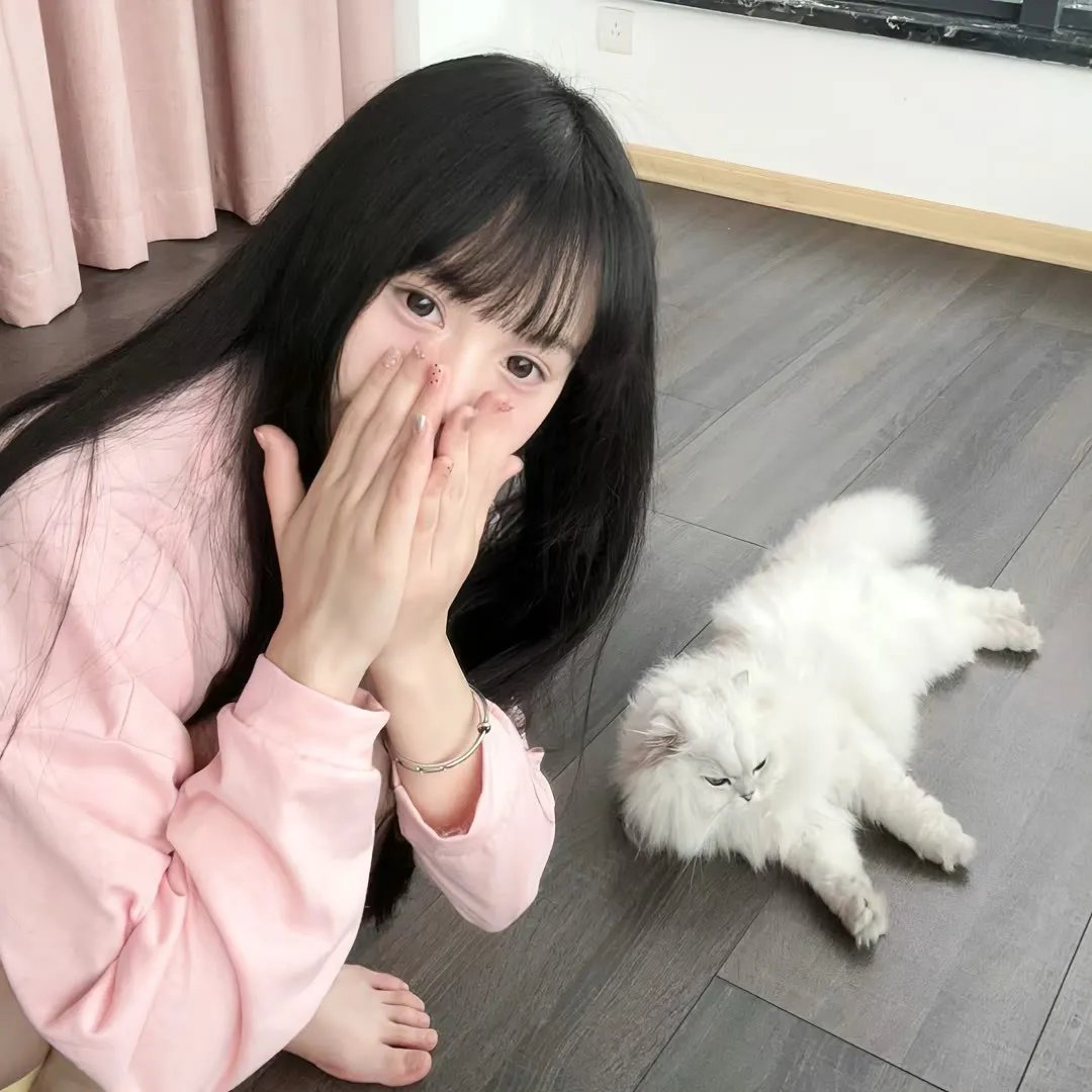 潜艇总动员4:章鱼奇遇记